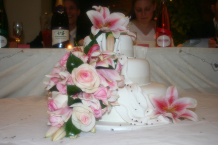 IMG_2646 copy.jpg